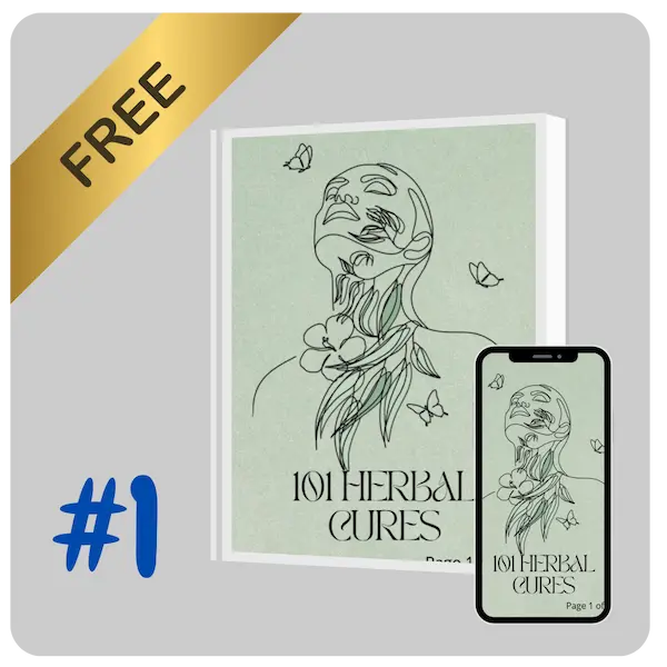Bonus 1 digital guide