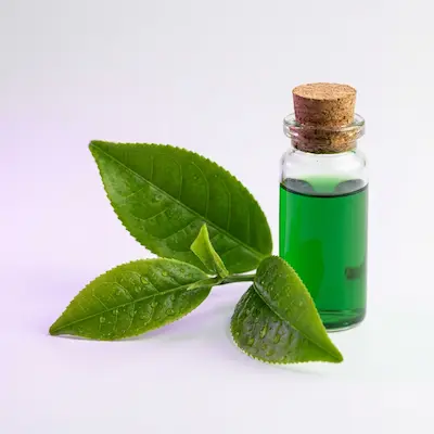 Green Tea Extract